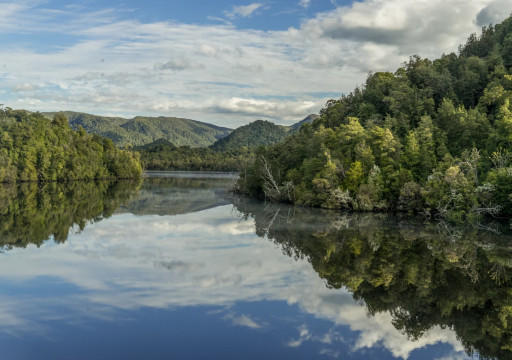 Environment and Water