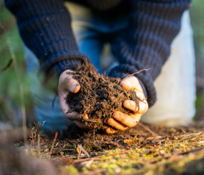 hands holding soil