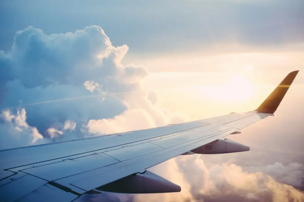 Plane wing symbolising migration and travel