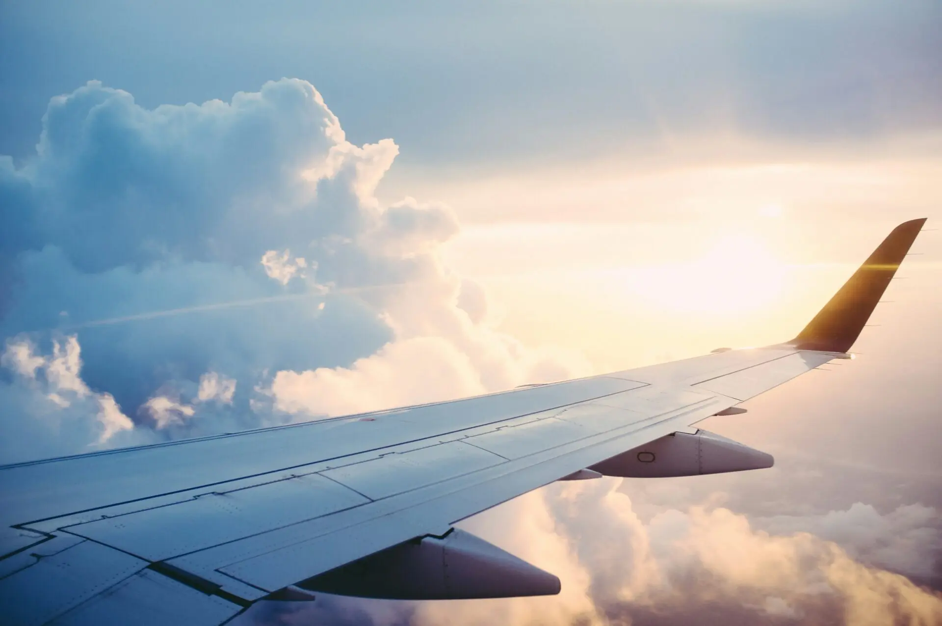 Plane wing symbolising migration and travel