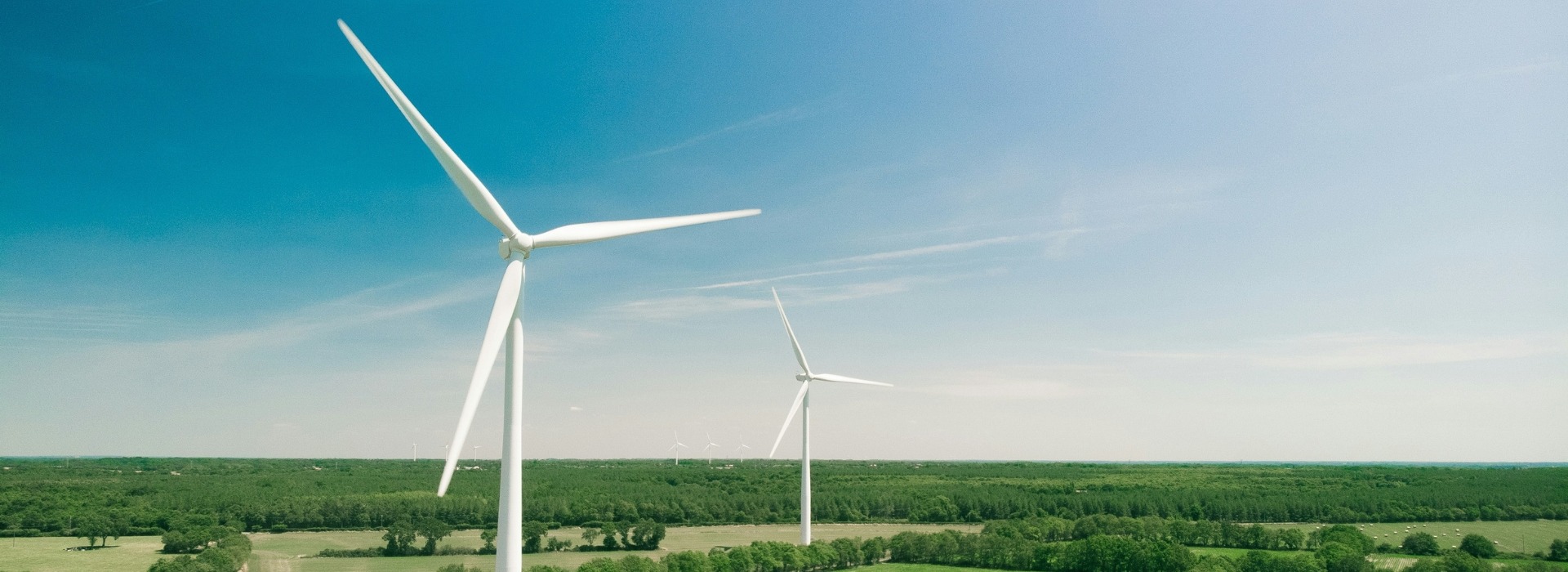 An image of two wind turbines in a field of green grass