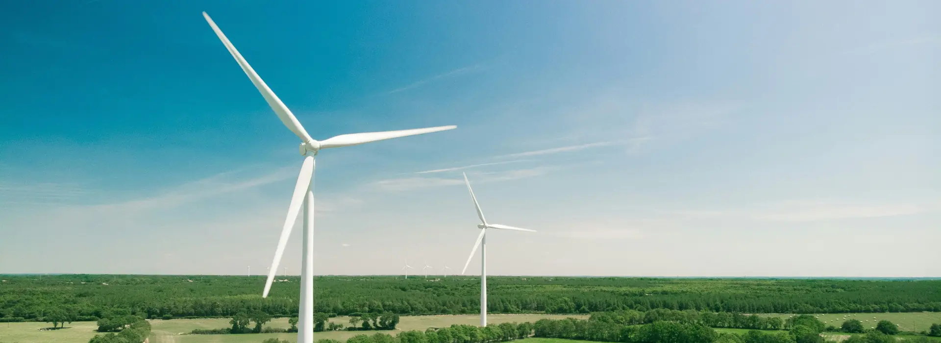 An image of two wind turbines in a field of green grass